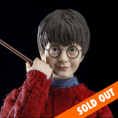 HARRY POTTER (CASUAL WEAR)